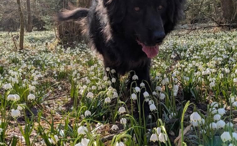 Seznam skladb za 31. 3. 2025, 7.00–11.00 (Nika Štrus)