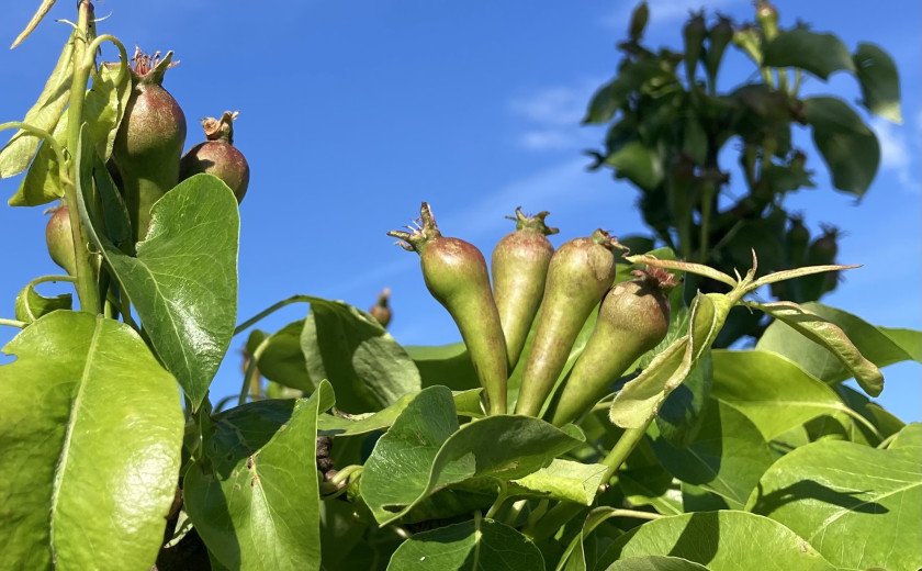 Seznam skladb za 27. 5. 2025, 14.00–18.00 (Hana Hunjet)