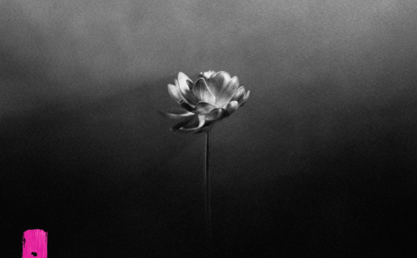 Little Simz – Young