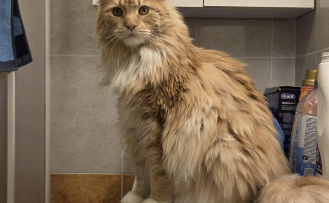 Seznam skladb za 23. 6. 2025, 7.00–11.00 (Jizah DaFunk)