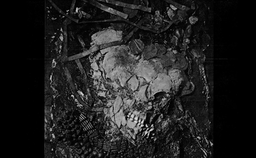 Susu Laroche – The Cup