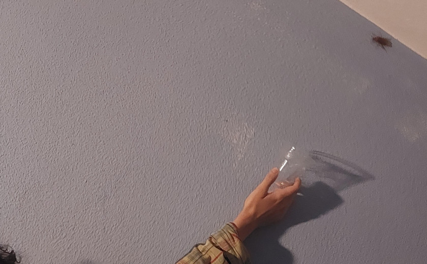 Hrabra makedonska zora