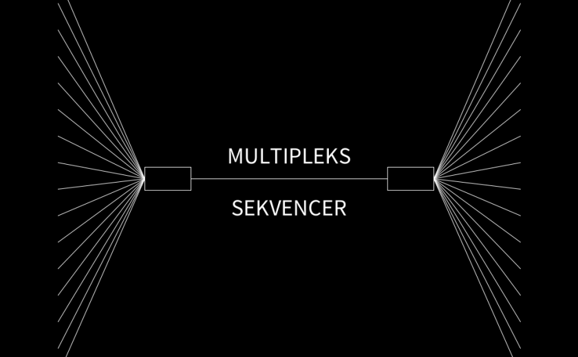 Multipleks sekvencer