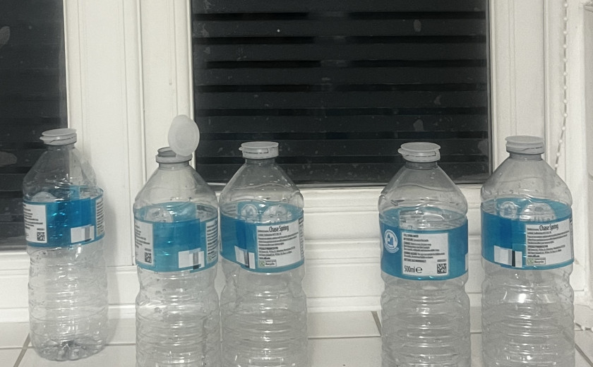 Seznam skladb za 6. 8. 2025, 11.00–14.00 (Eva Rogl Mežnar)