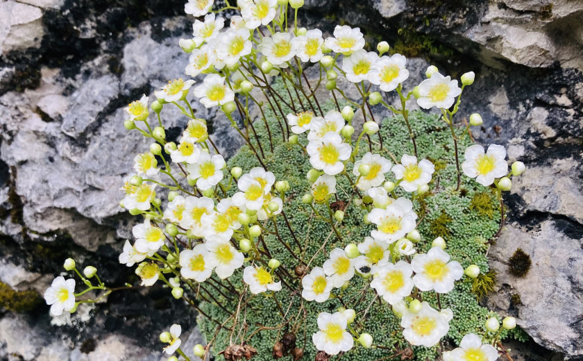 Seznam skladb za 15. 8. 2025, 11.00–14.00 (Hana Hunjet)