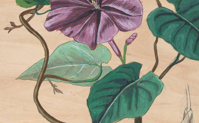 Ben LaMar Gay: Yowzers