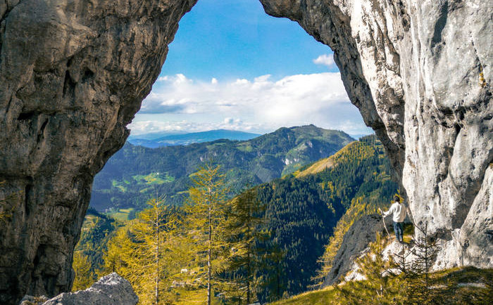 Bakalina Velika: Use kar sije