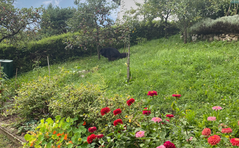 Seznam skladb za 3. 9. 2025, 14.00–18.00 (Nika Štrus)