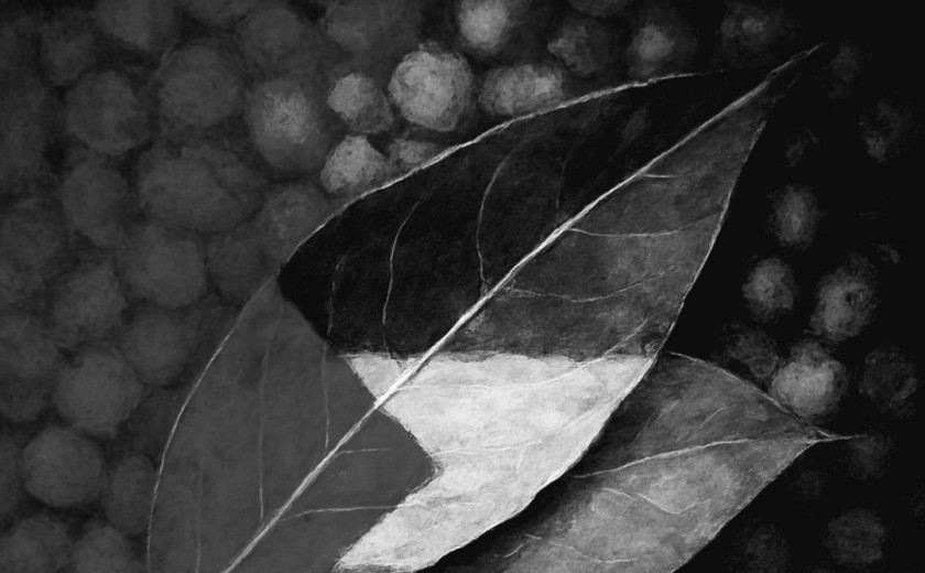 Seznam skladb za 2. 9. 2025, 14.00–18.00 (Mitja Hlupič)