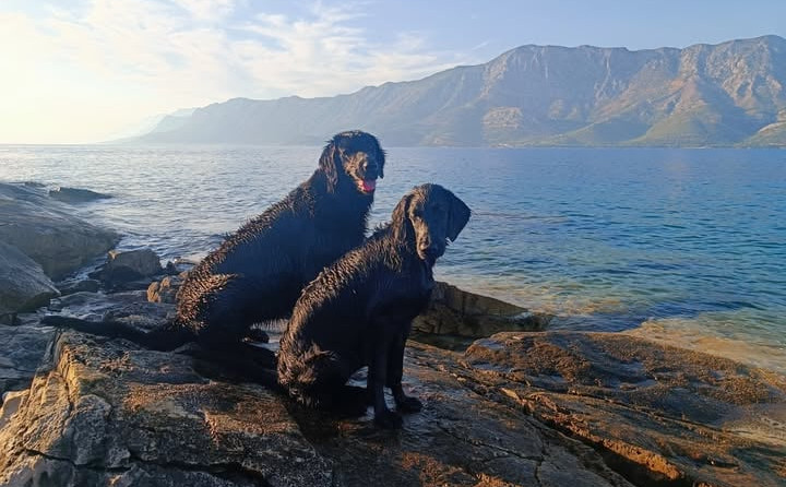 Seznam skladb, 23. 10. 2025 (7.00–11.00)