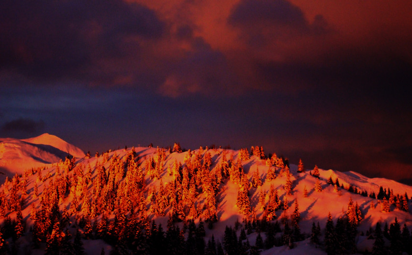 Seznam skladb za 1. 12. 2025, 7.00–11.00 (Nina Zajc)