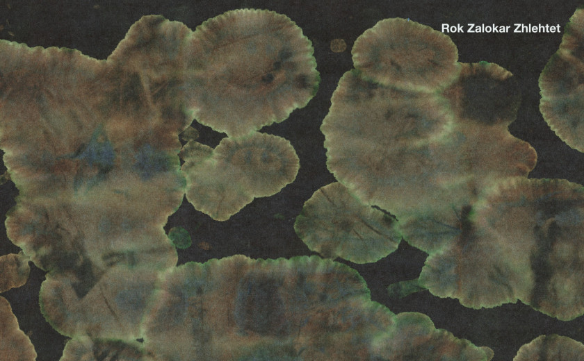 Zhlehtet: Pieces for Collective Change