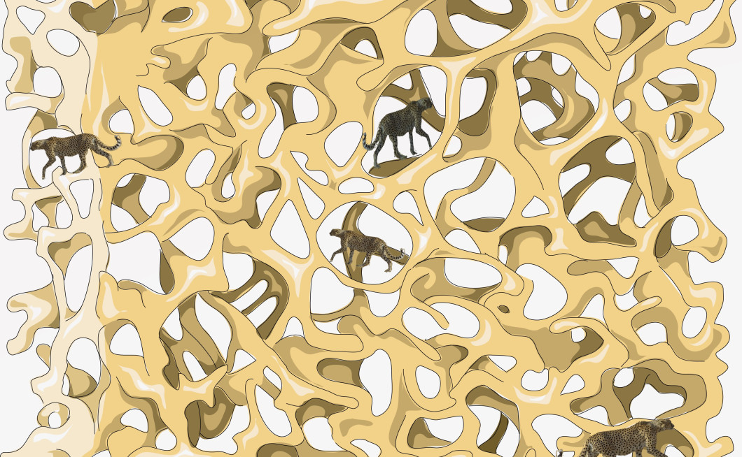 Gepardi, ki se izgubljajo v medkostnih jamicah