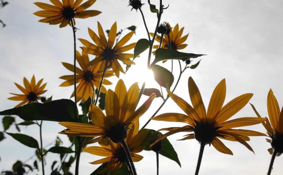 Seznam skladb za 14. 2. 2026, 14.00–18.00 (Mojca Teržan)