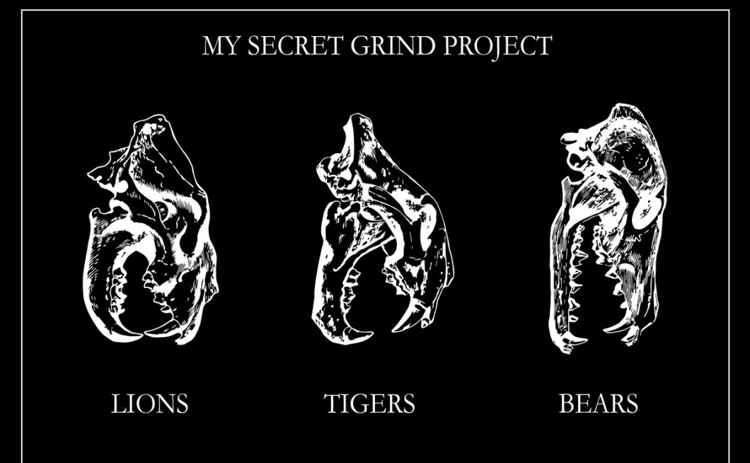 My Secret Grind Project – Lions