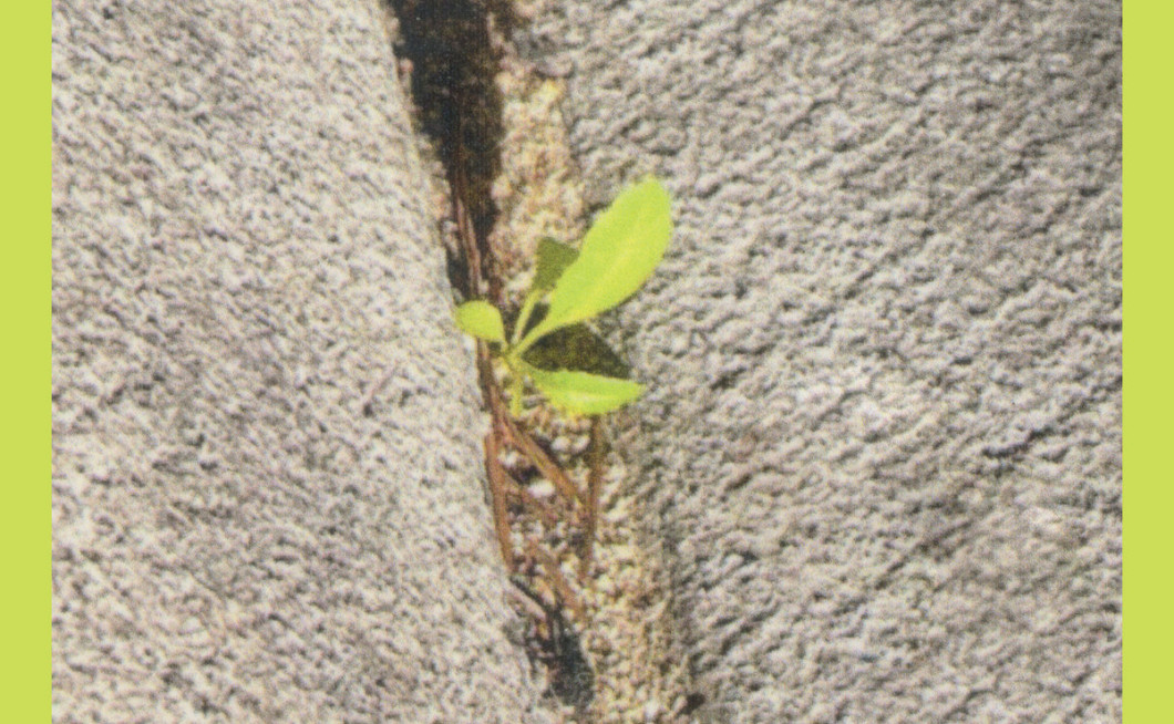 Booker Stardrum: Close-up on the Outside