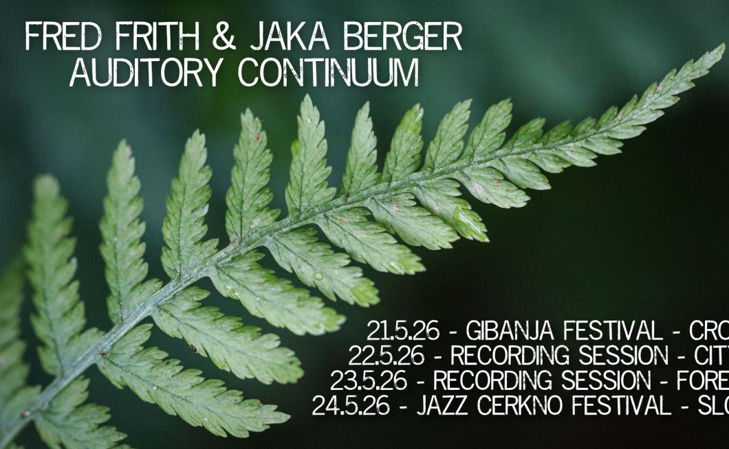 Fred Frith & Jaka Berger: Auditory Continuum