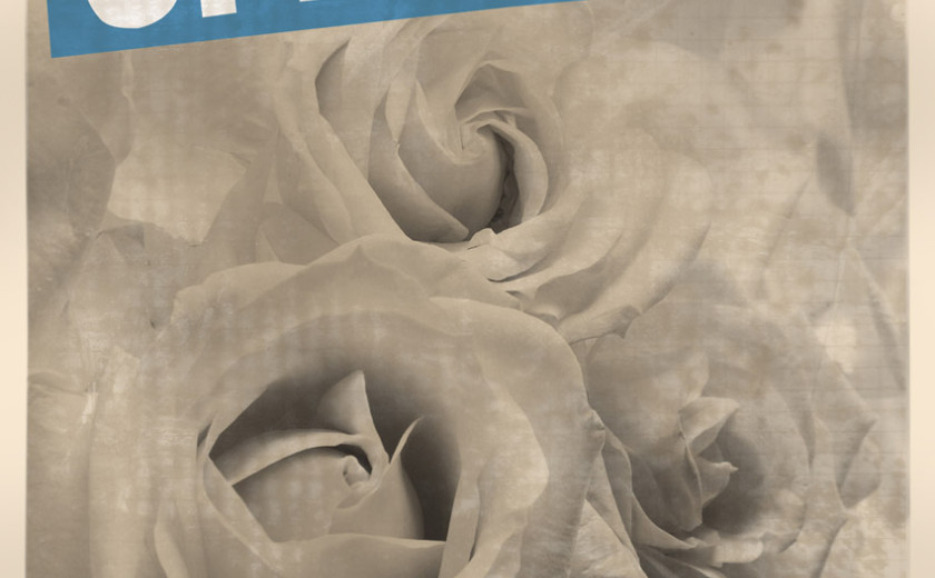 Via Ofenziva - Bele rože