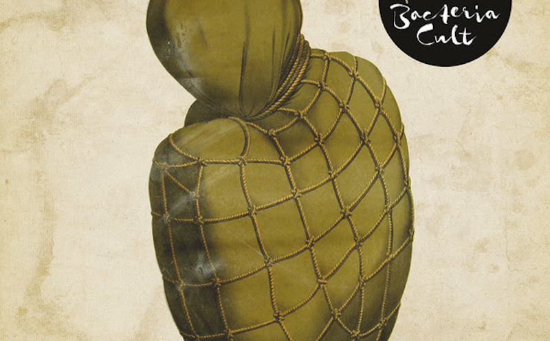 Kaada/Patton: Bacteria Cult