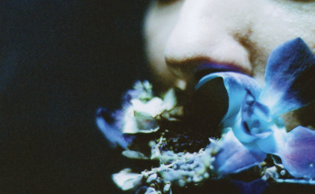 Circuit des Yeux: Reaching for Indigo