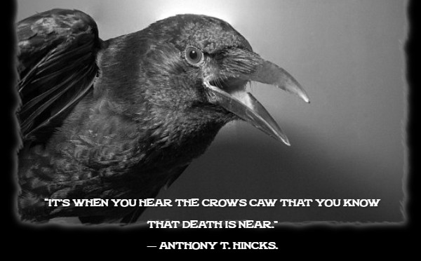 Metal detektor: Vrane prihajajo