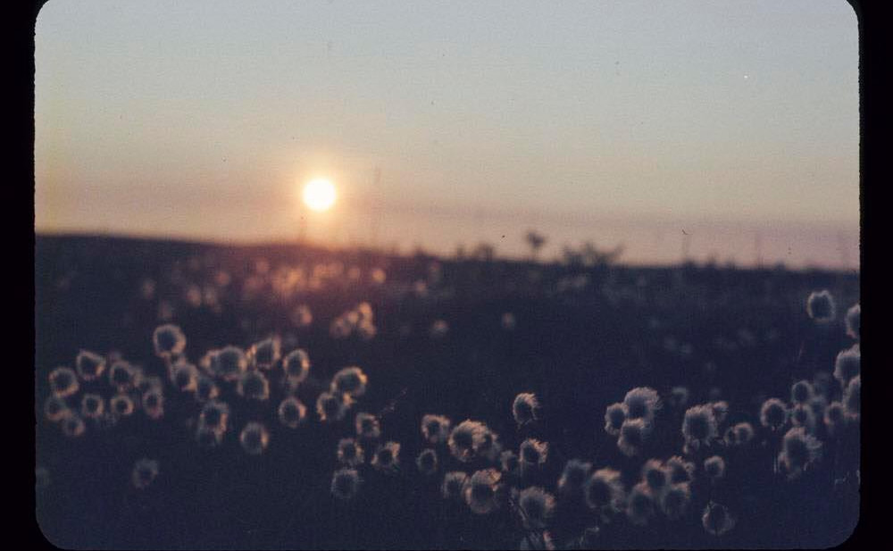 Seznam skladb za 5. 10. 2020, 7.00–11.00 (Nina Zajc)