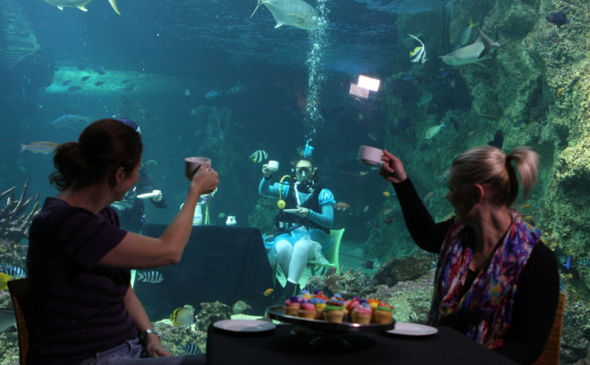 čaj se lahko pije tudi pod vodo