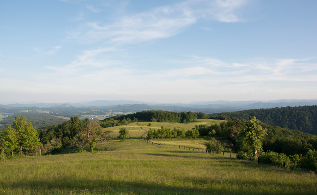 Seznam skladb za 23. 8. 2023, 11.00–15.00 (Nina Zajc)