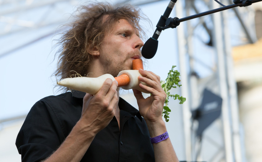 tudi korenjček je lahko glasbilo, čist ok