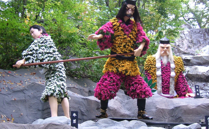 praznik krizantem. Niso sam za na grob, lahko so oblačilo