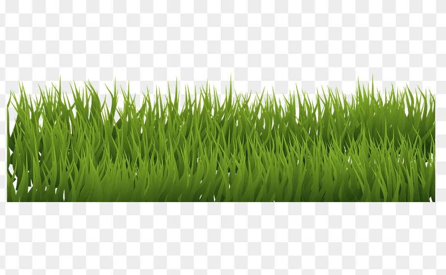 aveš trava, zeleno,, pa to hehe. bl zelene rizle mislu drgač 