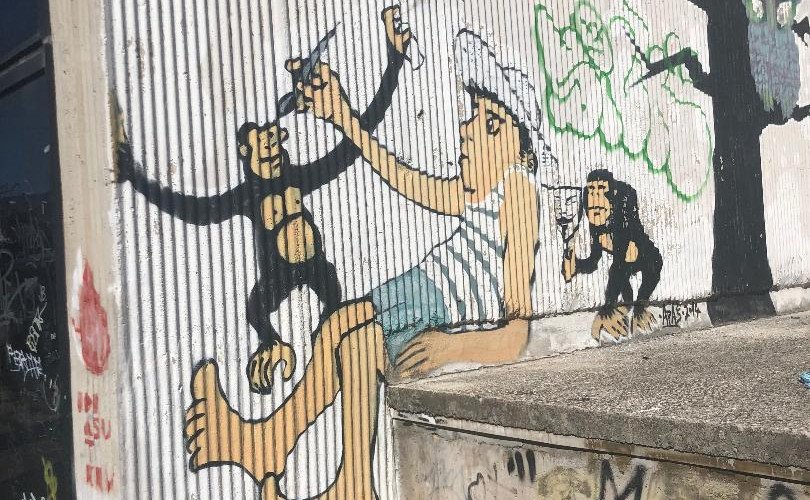 toma bebić; gripe; split