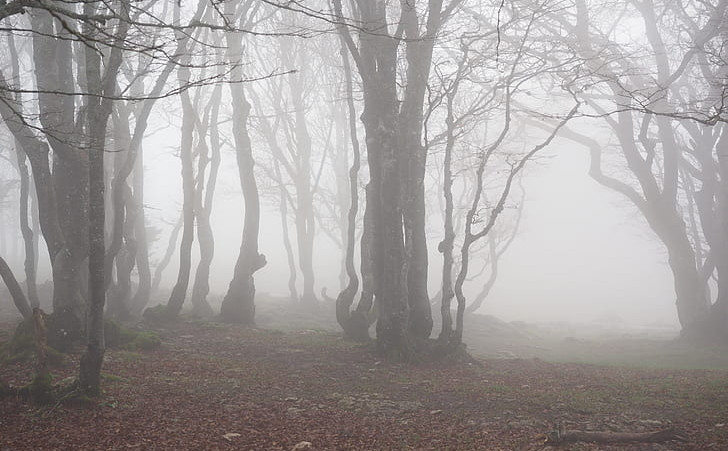 listje pa jesen pa to