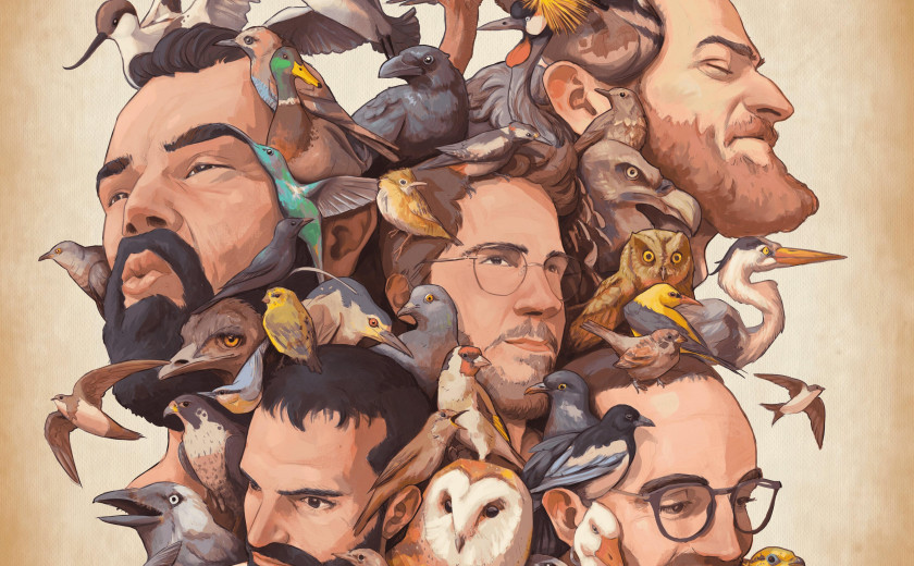 El Pony Pisador: Ocells 